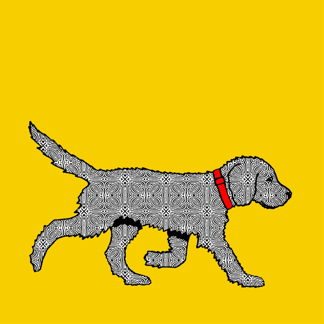 Under £20 - DoodlePippin