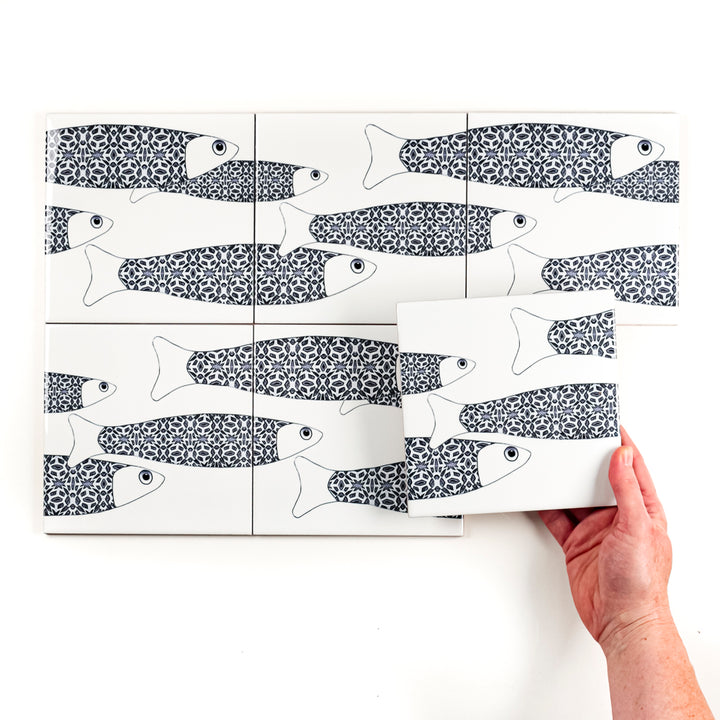 Ocean Shoal &