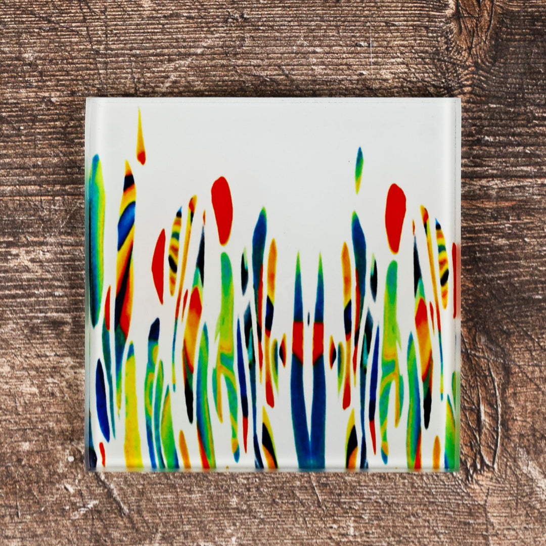 Garden Meadow Coaster Set