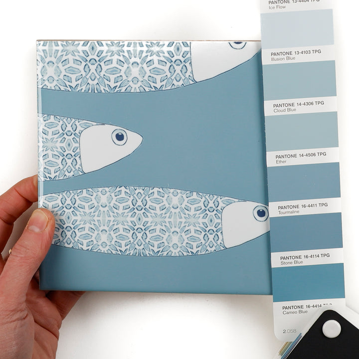 Ocean Shoal &