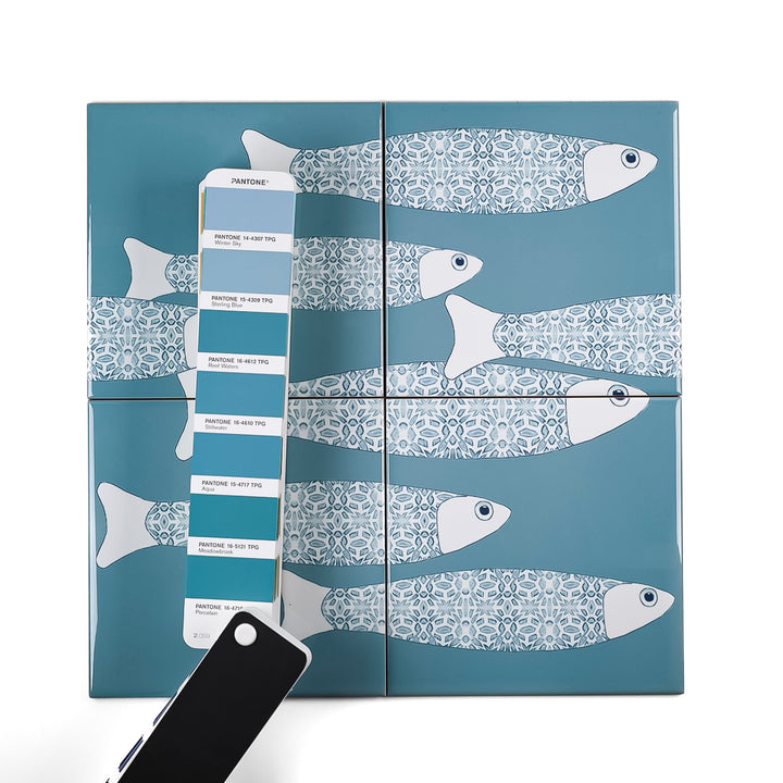 Ocean Shoal &