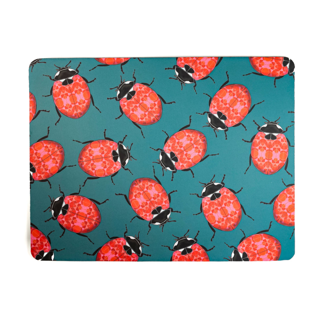 SALE Red Ladybirds Large Pet Food Mat