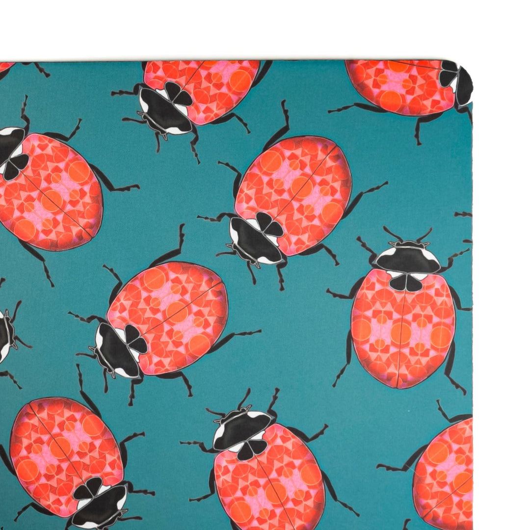 SALE Red Ladybirds Large Pet Food Mat