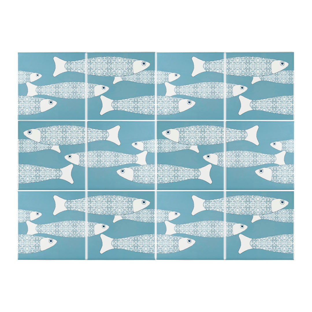 Ocean Shoal &
