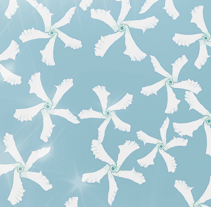 Jasmine Flower Kitchen Splashback - Aqua &amp; White