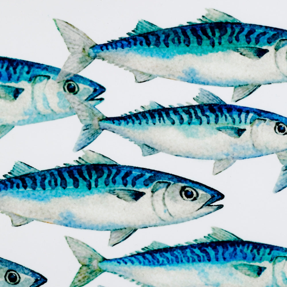 Mackerel Shoal on White - Rectangular - 30x20cm (12x8 inches)