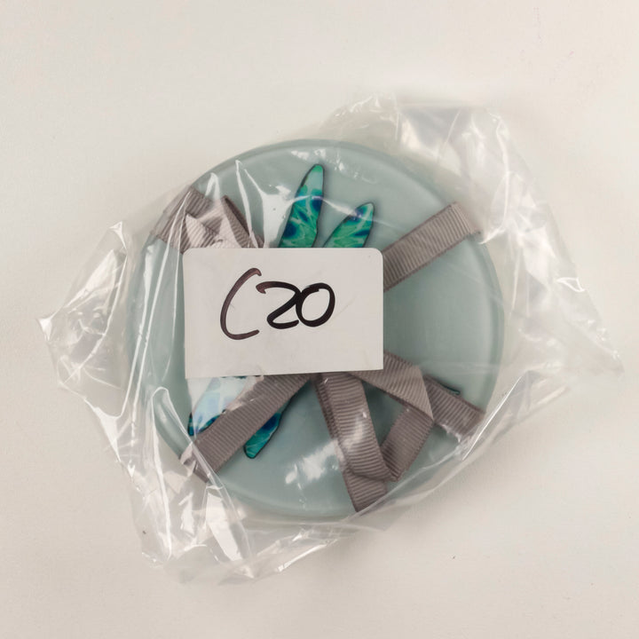 SALE Coaster Set - Dragonfly (circular)