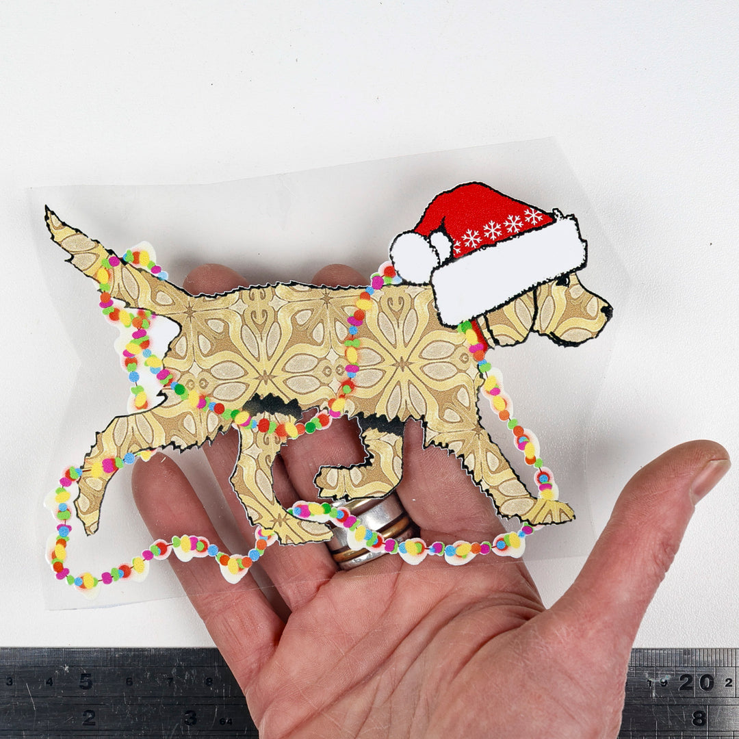 SALE Christmas Blonde Labradoodle