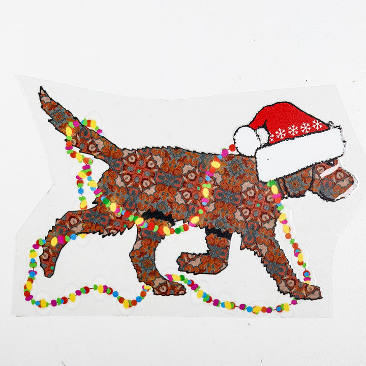 SALE Christmas Chocolate / Red Labradoodle