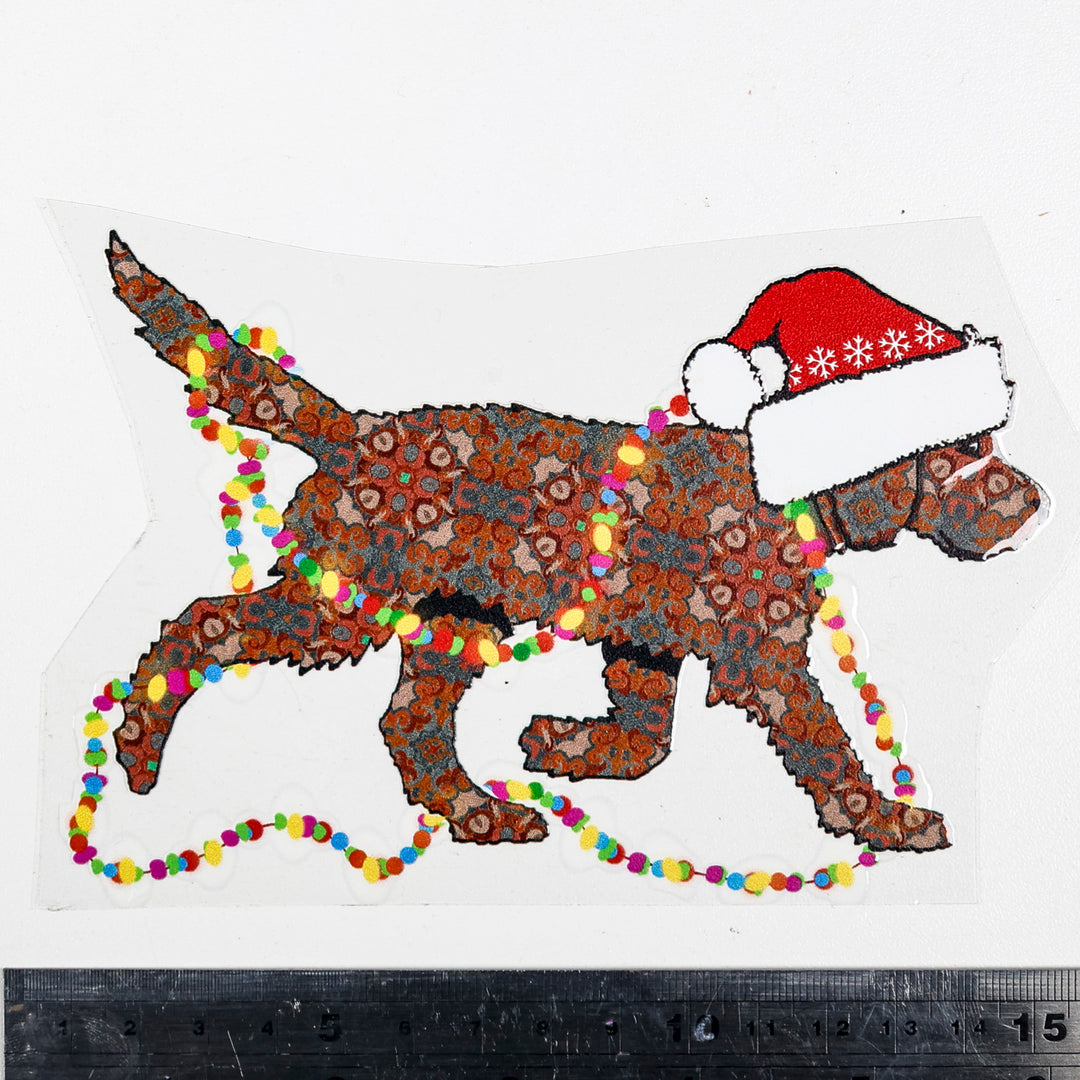 SALE Christmas Chocolate / Red Labradoodle