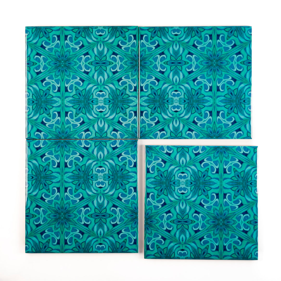 SALE - Set of 20x 15.2cm Agapanthus Offset - Perfect