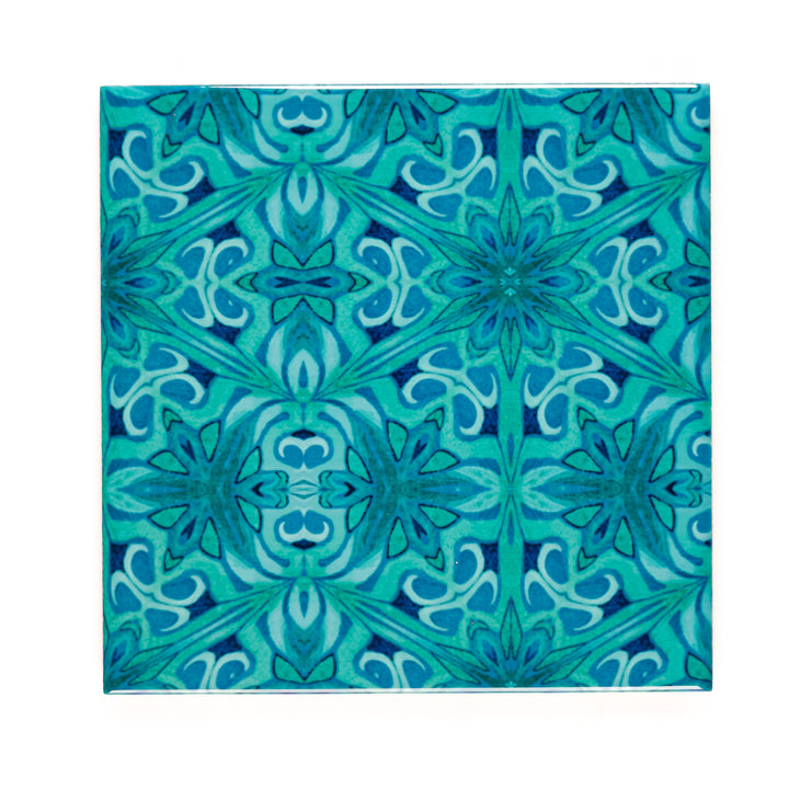 SALE - Set of 20x 15.2cm Agapanthus Offset - Perfect