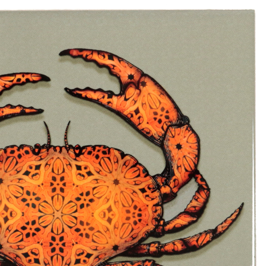SALE SET - 7 x 10.8cm Crab tiles - perfect