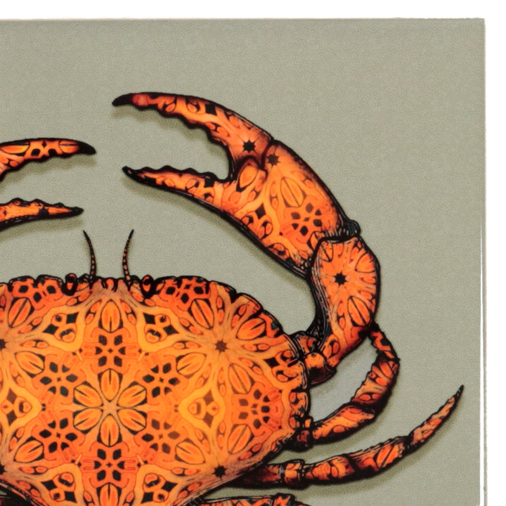 SALE SET - 7 x 10.8cm Crab tiles - perfect
