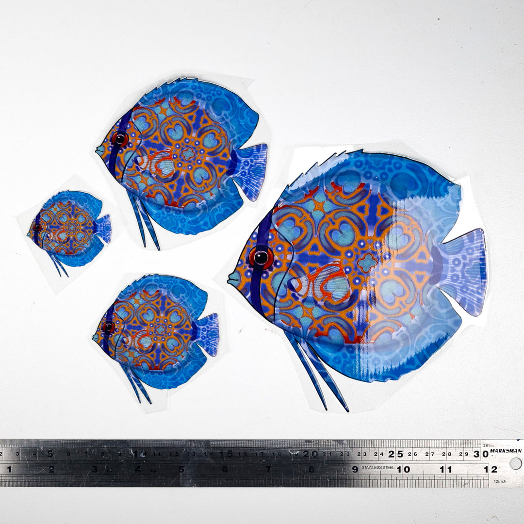 SALE Discus Fish decal set - blue orange
