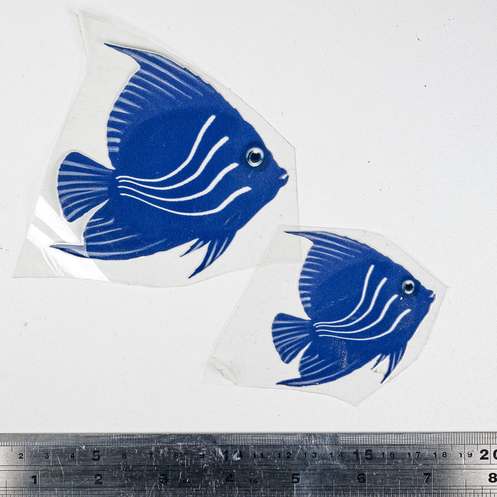 SALE Angel Fish decal set