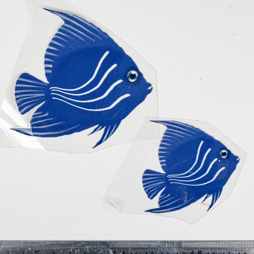 SALE Angel Fish decal set