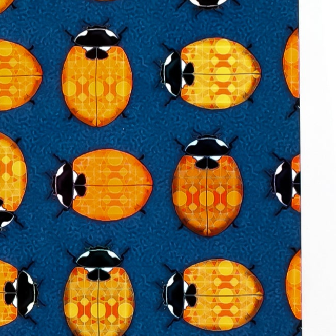 Lanternbug Placemat