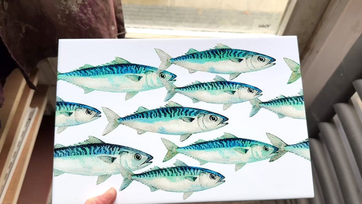Mackerel Shoal on White - Rectangular - 30x20cm (12x8 inches)