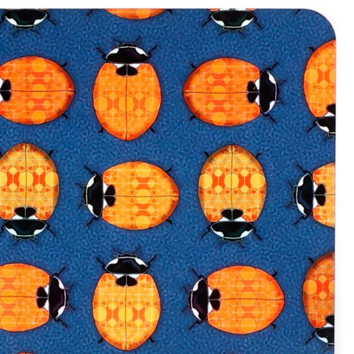 SALE - Pair of Melamine Placemats - Ladybird Design