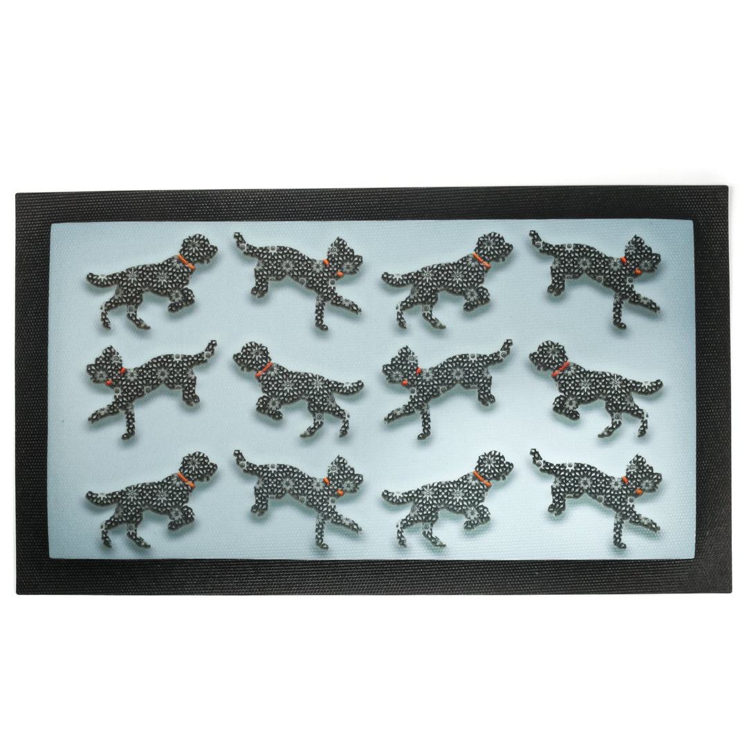 Black cockerpoos with red collars on a grey blue background