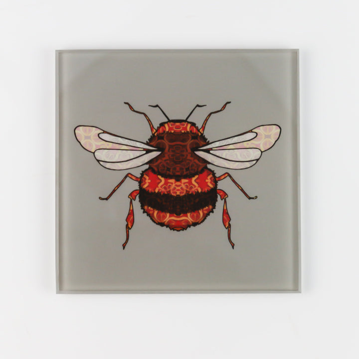 Bumble Bee Coaster Set - taupe